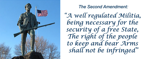 second-amendment-arms.jpg